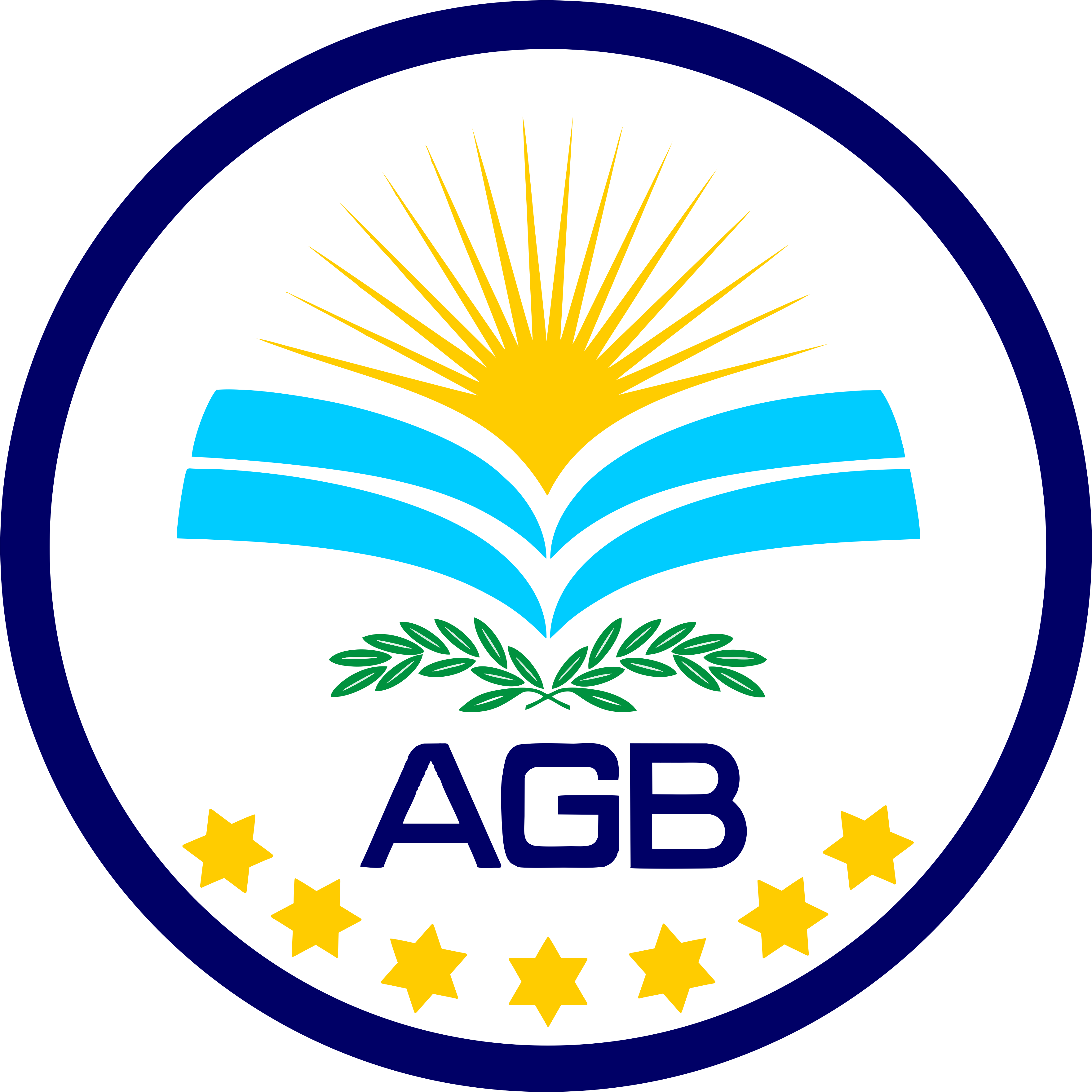 BECAS por COMPETENCIA
